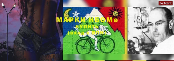 гашик Арсеньев