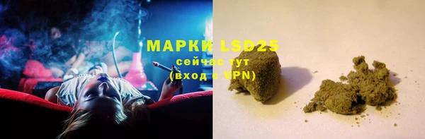 винт Алзамай
