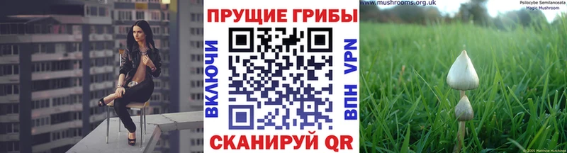 Галлюциногенные грибы GOLDEN TEACHER  Глазов 