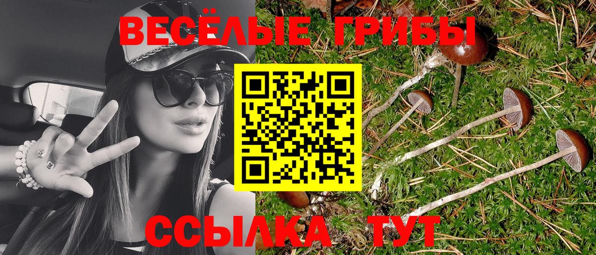 Галлюциногенные грибы Psilocybe Глазов