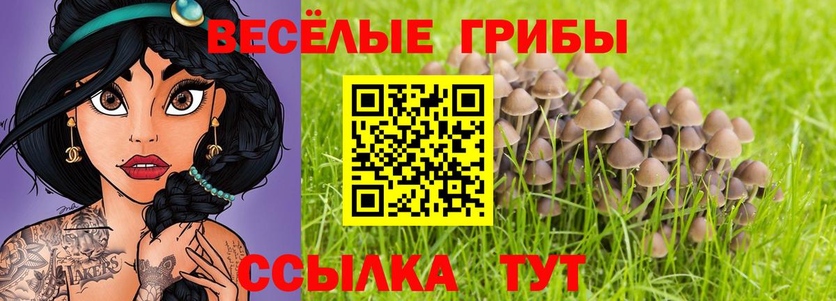 Псилоцибиновые грибы Magic Shrooms  Псилоцибиновые грибы Psilocybine cubensis  Вход с VPN  Глазов 